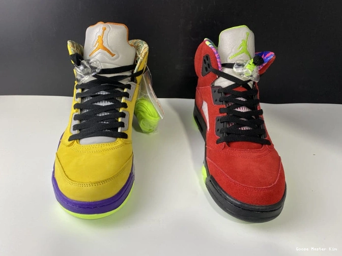 Jordan Retro The What 5 CZ5725-700 0519